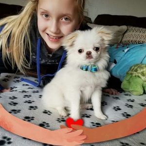 Meet your Posher, Patsy